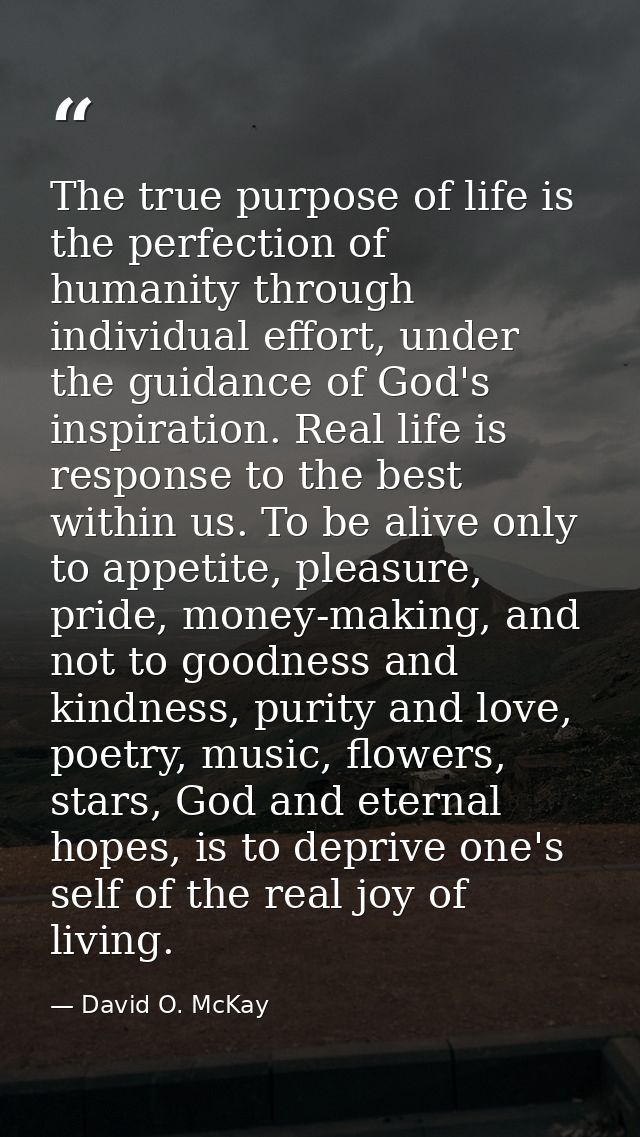 The true purpose of life is the perfection of humanity through individual effort, under the guidance of God's inspiratio — David O. McKay