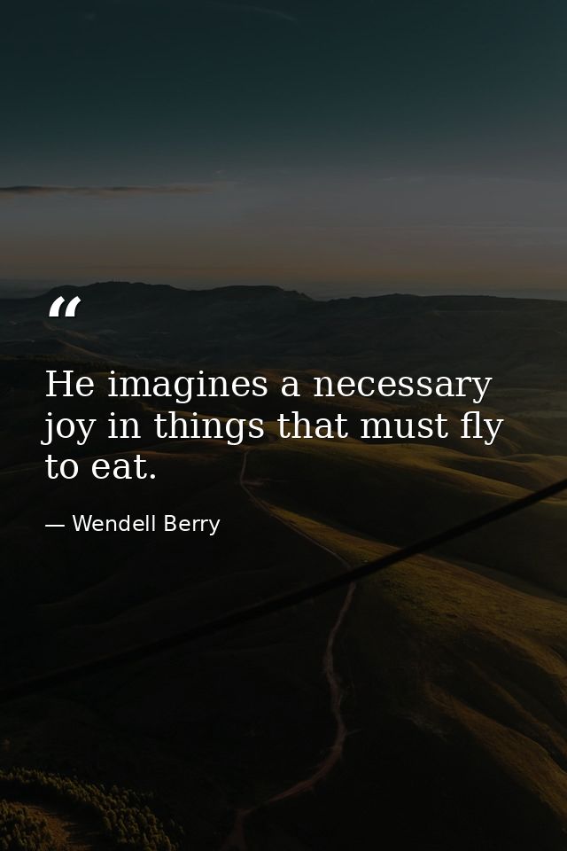 He imagines a necessary joy in things that must fly to eat. — Wendell Berry