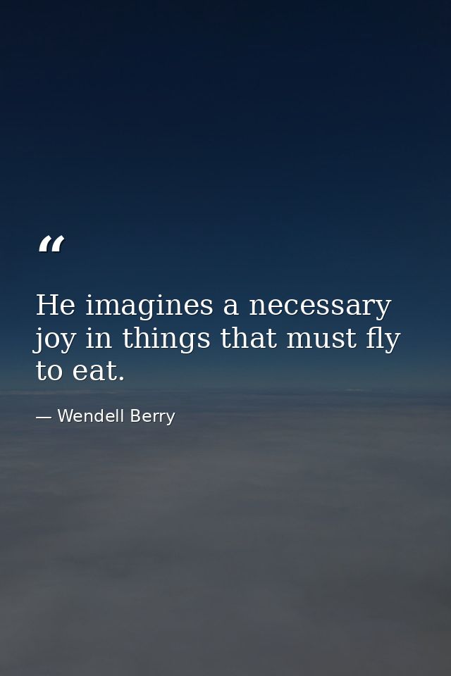 He imagines a necessary joy in things that must fly to eat. — Wendell Berry