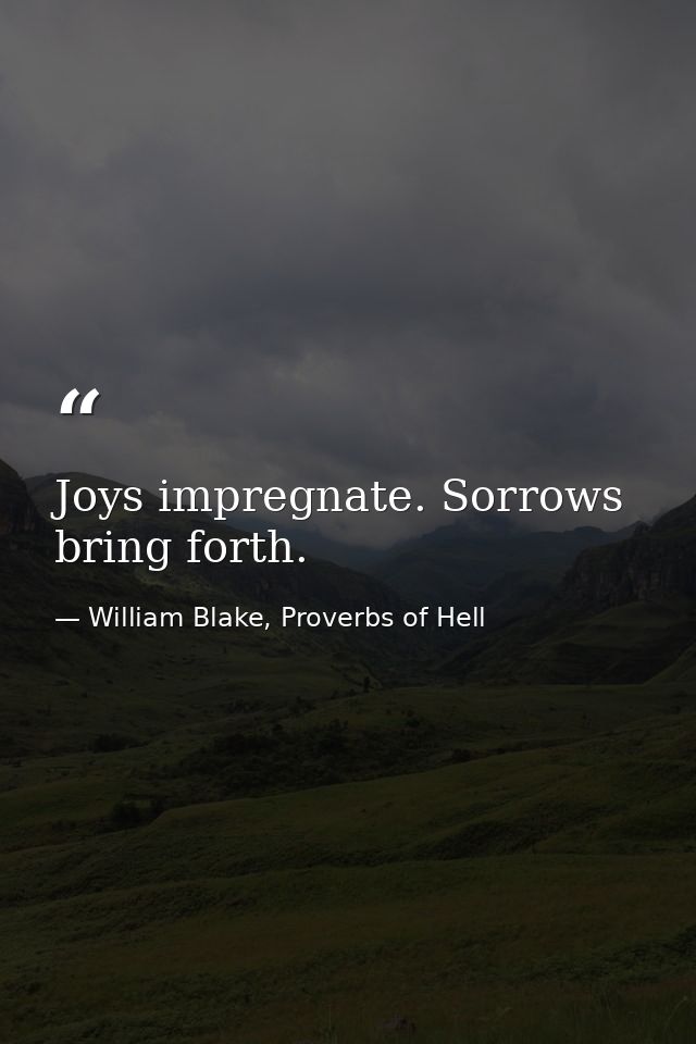 Joys impregnate. Sorrows bring forth. — William Blake, Proverbs of Hell