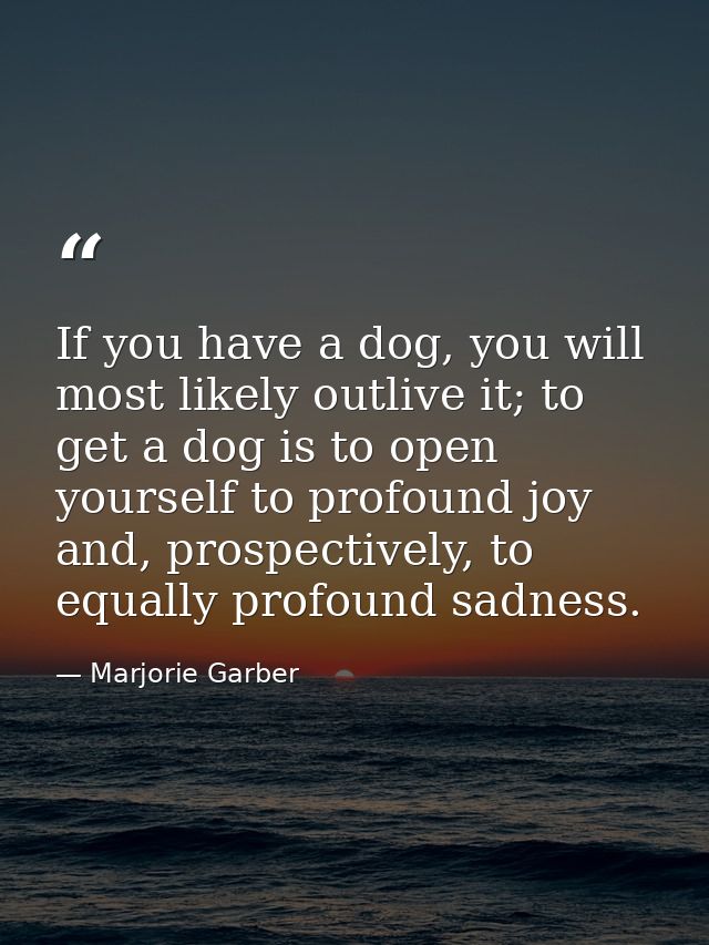 If you have a dog, you will most likely outlive it; to get a dog is to open yourself to profound joy and, prospectively, — Marjorie Garber