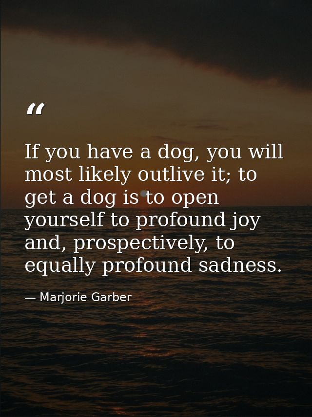 If you have a dog, you will most likely outlive it; to get a dog is to open yourself to profound joy and, prospectively, — Marjorie Garber