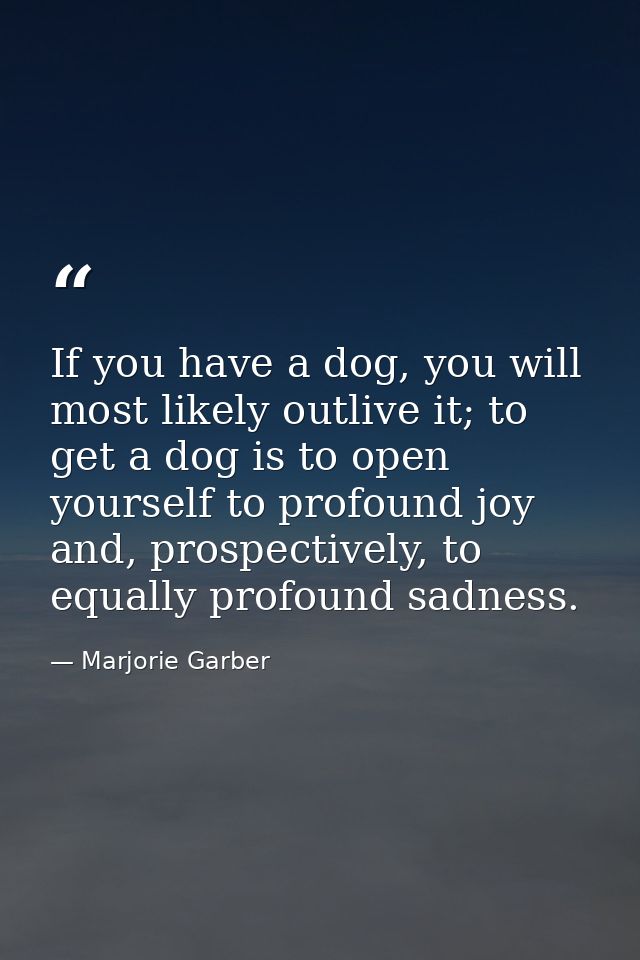 If you have a dog, you will most likely outlive it; to get a dog is to open yourself to profound joy and, prospectively, — Marjorie Garber