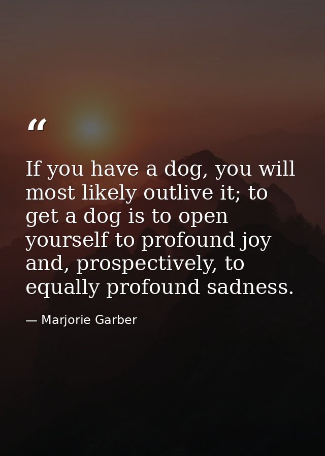 If you have a dog, you will most likely outlive it; to get a dog is to open yourself to profound joy and, prospectively, — Marjorie Garber