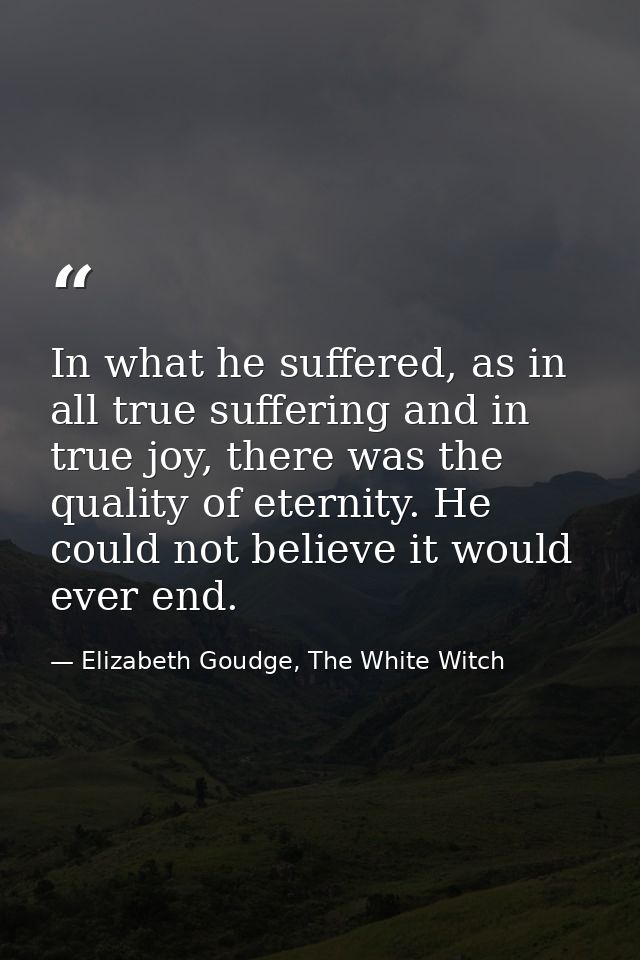 In what he suffered, as in all true suffering and in true joy, there was the quality of eternity. He could not believe i — Elizabeth Goudge, The White Witch