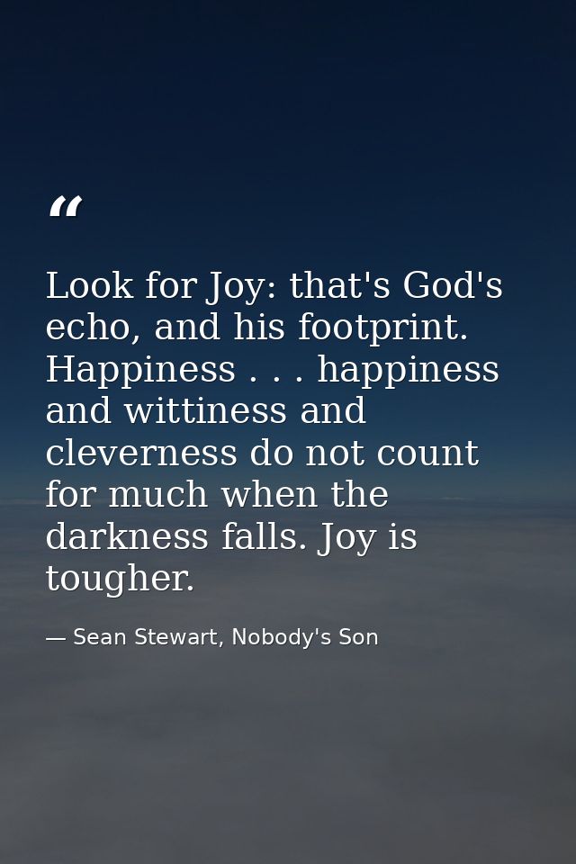 Look for Joy: that's God's echo, and his footprint. Happiness . . . happiness and wittiness and cleverness do not count  — Sean Stewart, Nobody's Son