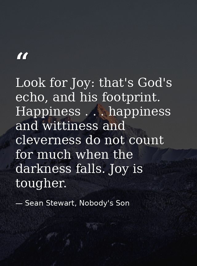 Look for Joy: that's God's echo, and his footprint. Happiness . . . happiness and wittiness and cleverness do not count  — Sean Stewart, Nobody's Son