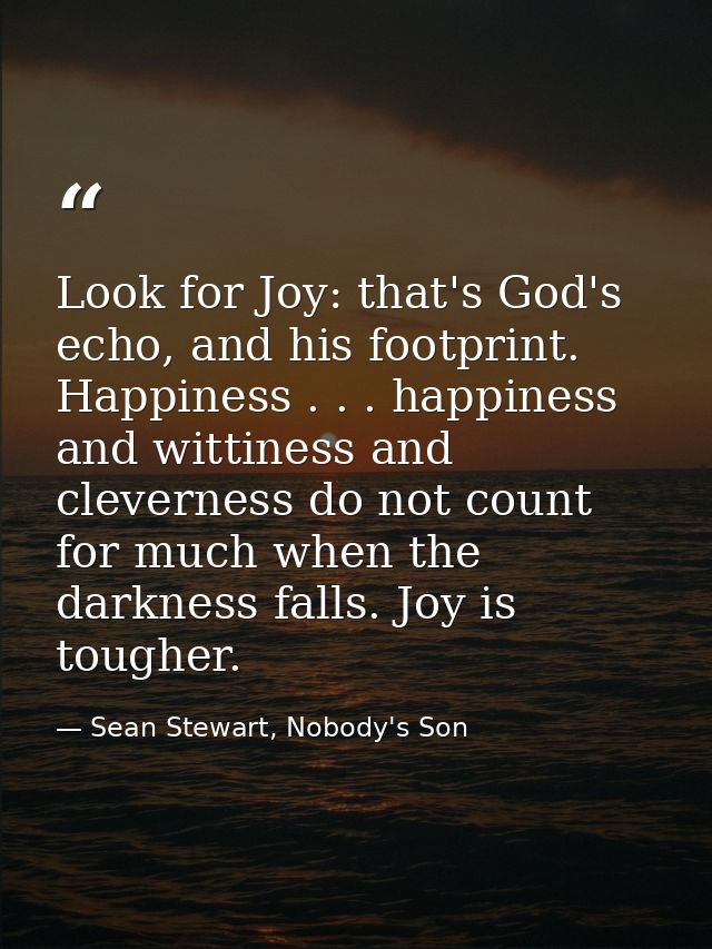 Look for Joy: that's God's echo, and his footprint. Happiness . . . happiness and wittiness and cleverness do not count  — Sean Stewart, Nobody's Son