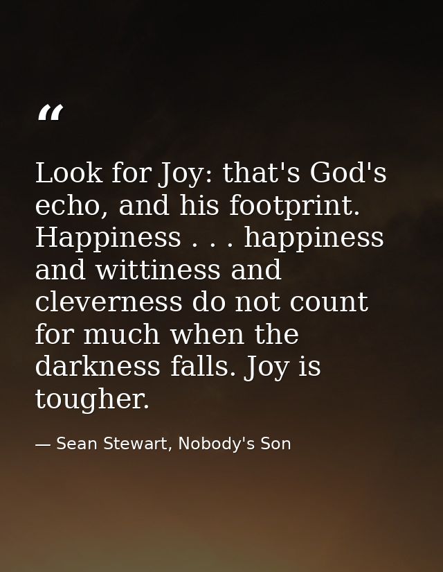 Look for Joy: that's God's echo, and his footprint. Happiness . . . happiness and wittiness and cleverness do not count  — Sean Stewart, Nobody's Son