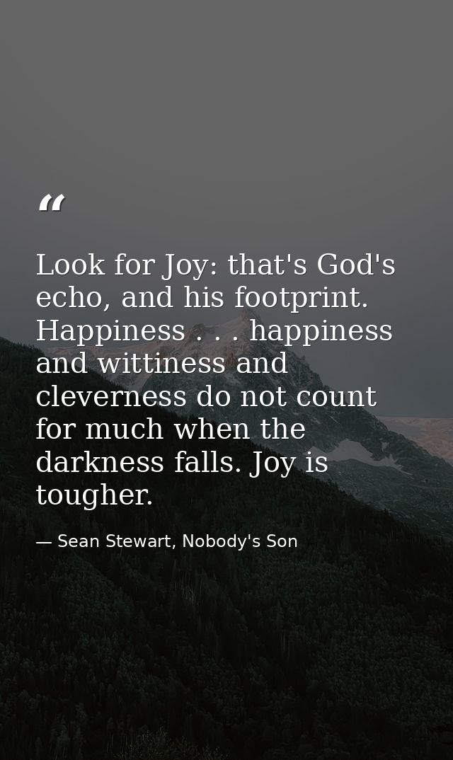 Look for Joy: that's God's echo, and his footprint. Happiness . . . happiness and wittiness and cleverness do not count  — Sean Stewart, Nobody's Son
