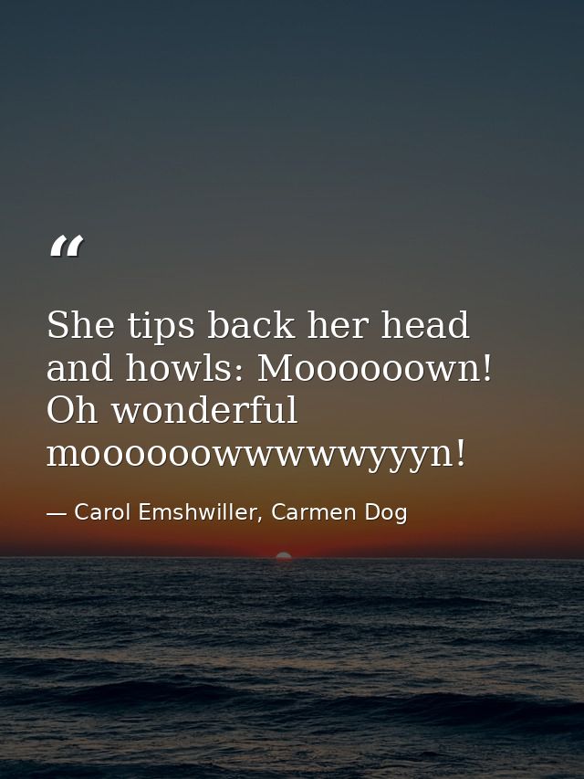 She tips back her head and howls: Moooooown! Oh wonderful moooooowwwwwyyyn! — Carol Emshwiller, Carmen Dog