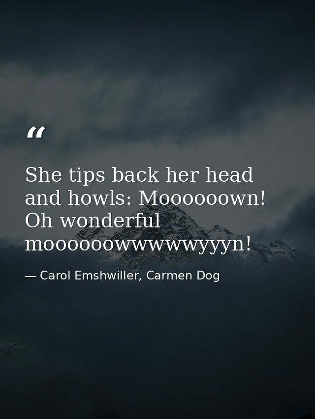 She tips back her head and howls: Moooooown! Oh wonderful moooooowwwwwyyyn! — Carol Emshwiller, Carmen Dog