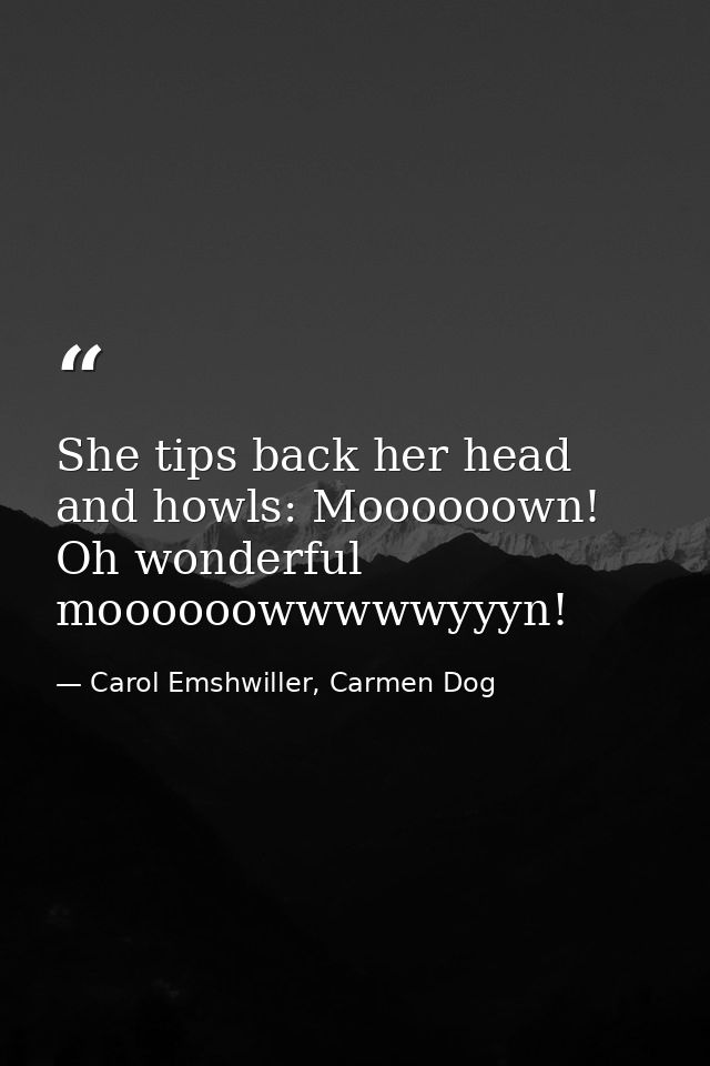 She tips back her head and howls: Moooooown! Oh wonderful moooooowwwwwyyyn! — Carol Emshwiller, Carmen Dog