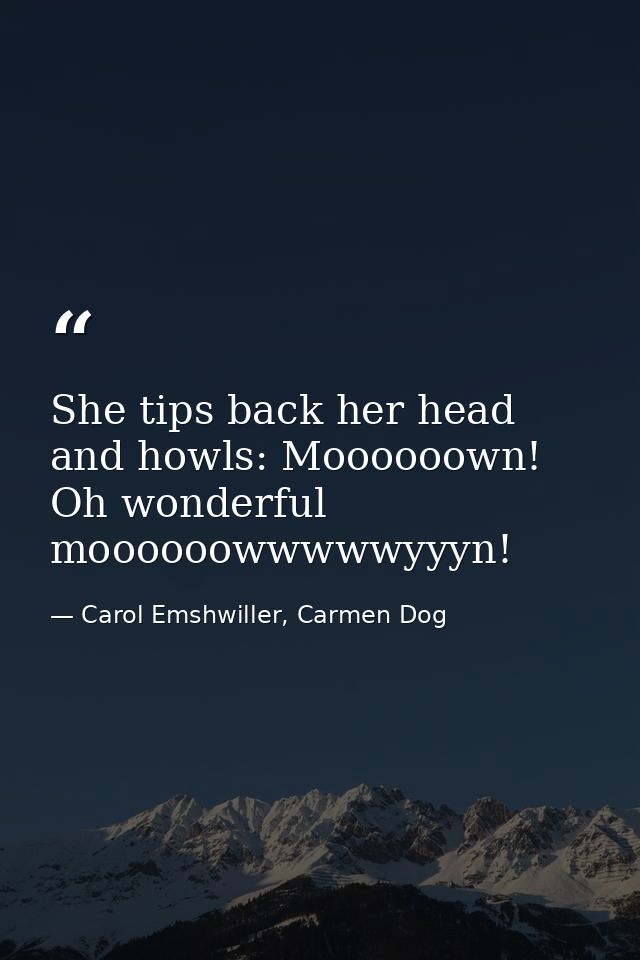 She tips back her head and howls: Moooooown! Oh wonderful moooooowwwwwyyyn! — Carol Emshwiller, Carmen Dog