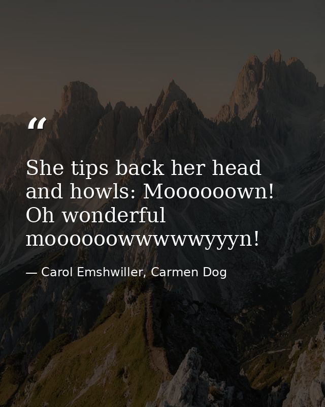 She tips back her head and howls: Moooooown! Oh wonderful moooooowwwwwyyyn! — Carol Emshwiller, Carmen Dog