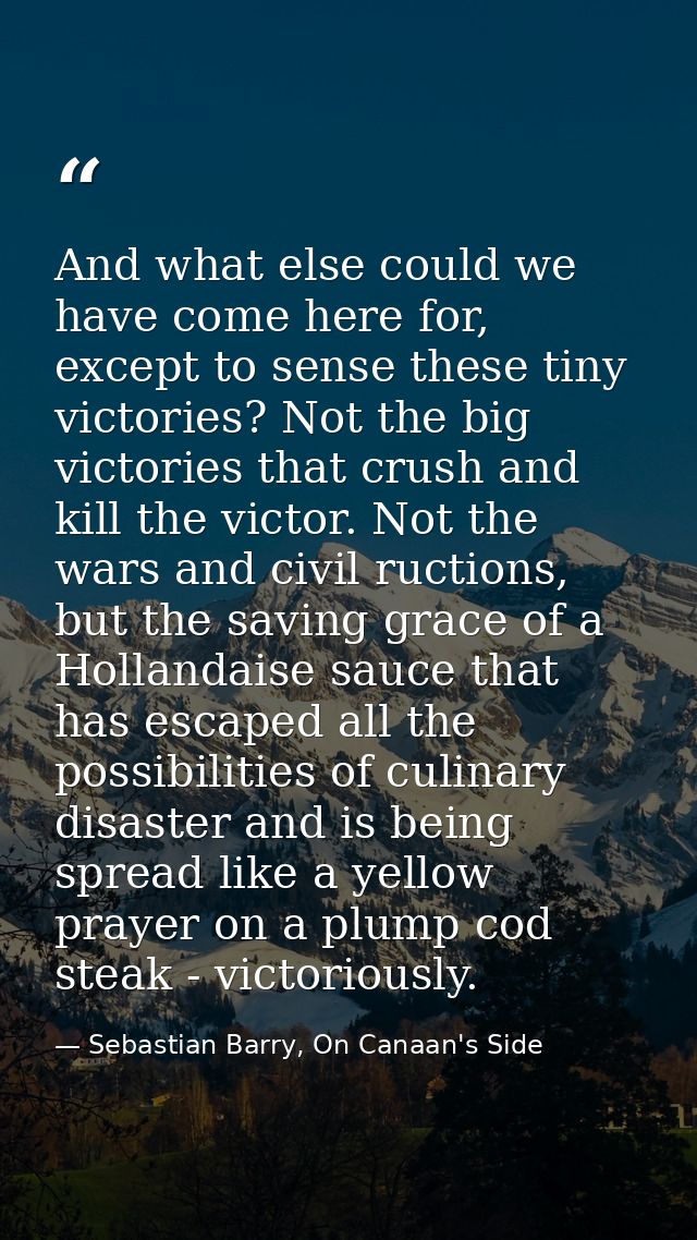 And what else could we have come here for, except to sense these tiny victories? Not the big victories that crush and ki — Sebastian Barry, On Canaan's Side