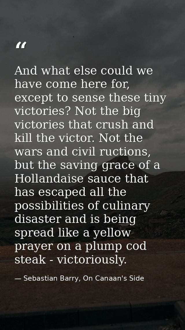And what else could we have come here for, except to sense these tiny victories? Not the big victories that crush and ki — Sebastian Barry, On Canaan's Side