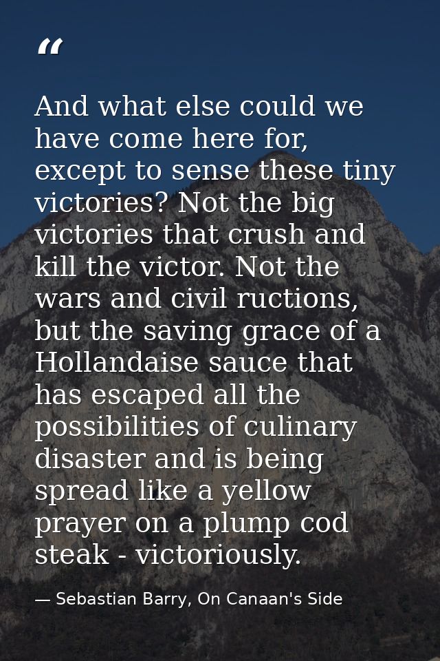 And what else could we have come here for, except to sense these tiny victories? Not the big victories that crush and ki — Sebastian Barry, On Canaan's Side