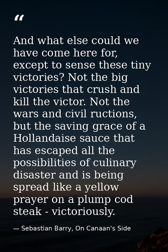 And what else could we have come here for, except to sense these tiny victories? Not the big victories that crush and ki — Sebastian Barry, On Canaan's Side