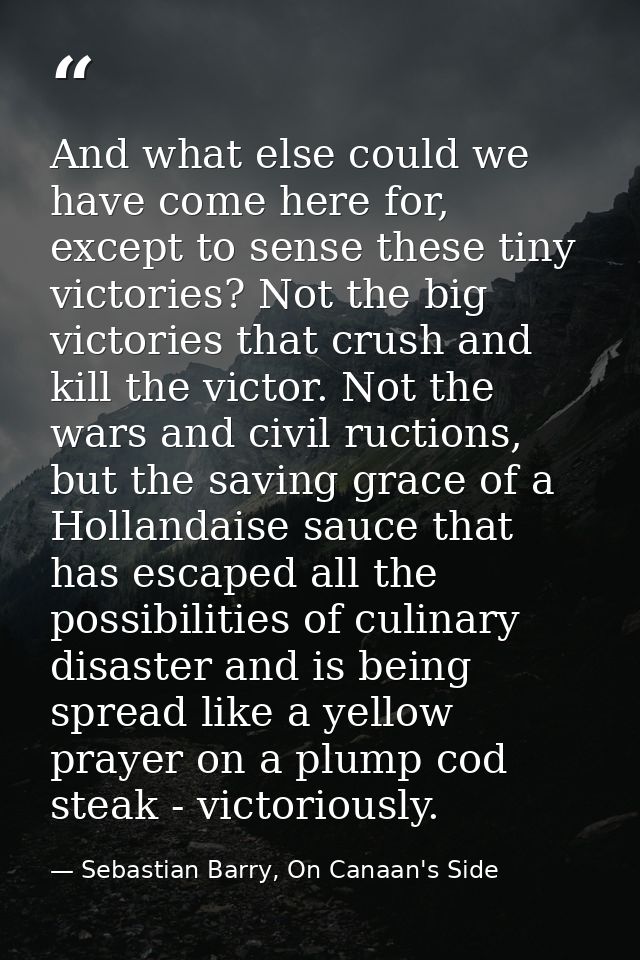 And what else could we have come here for, except to sense these tiny victories? Not the big victories that crush and ki — Sebastian Barry, On Canaan's Side