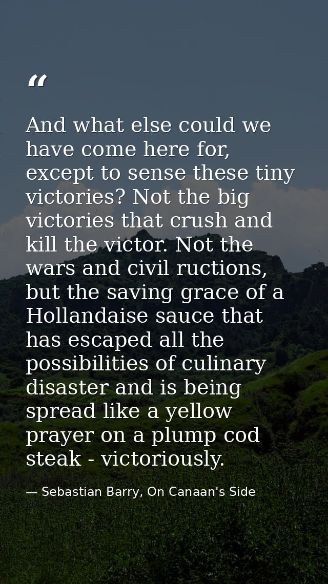 And what else could we have come here for, except to sense these tiny victories? Not the big victories that crush and ki — Sebastian Barry, On Canaan's Side