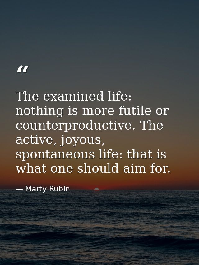 The examined life: nothing is more futile or counterproductive. The active, joyous, spontaneous life: that is what one s — Marty Rubin