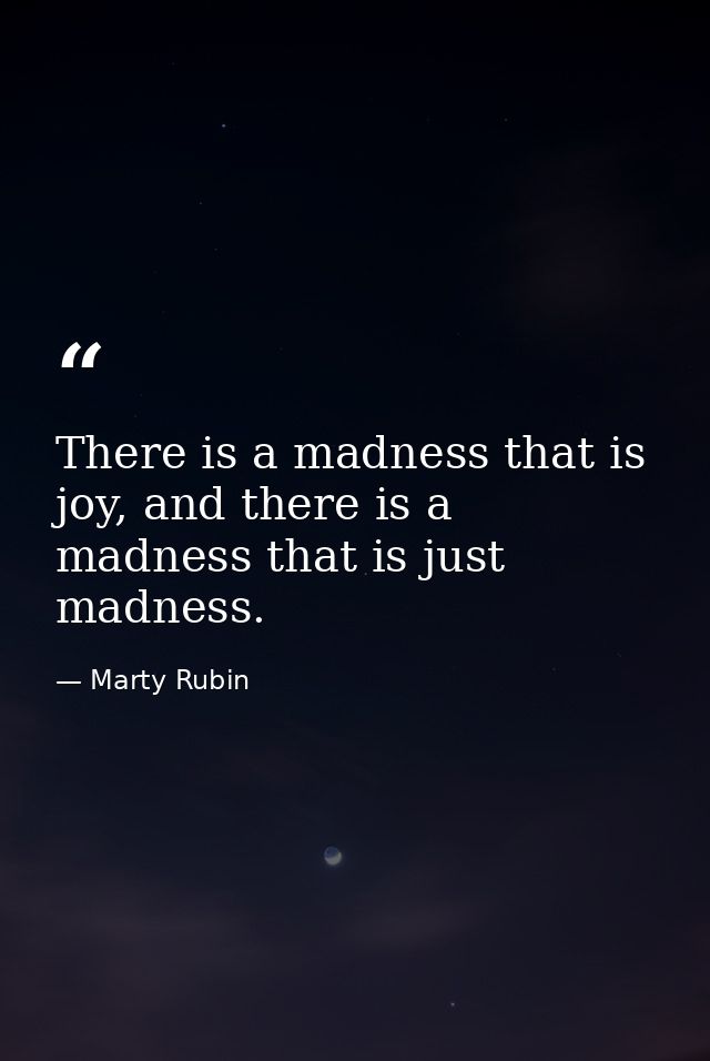 There is a madness that is joy, and there is a madness that is just madness. — Marty Rubin