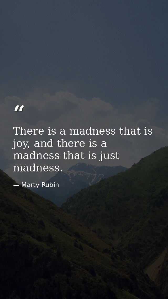 There is a madness that is joy, and there is a madness that is just madness. — Marty Rubin