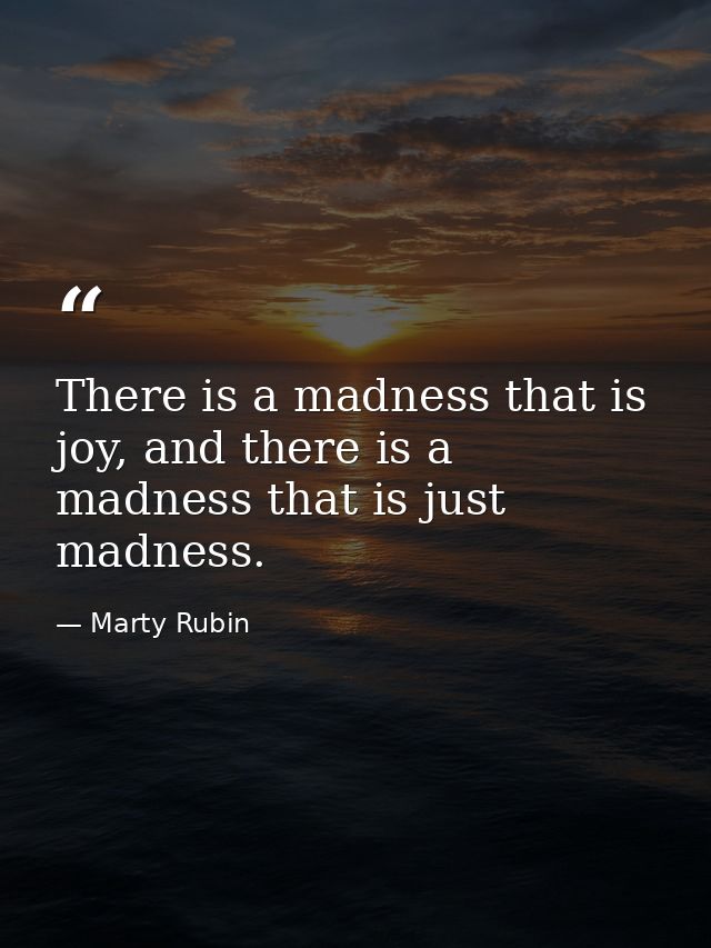 There is a madness that is joy, and there is a madness that is just madness. — Marty Rubin
