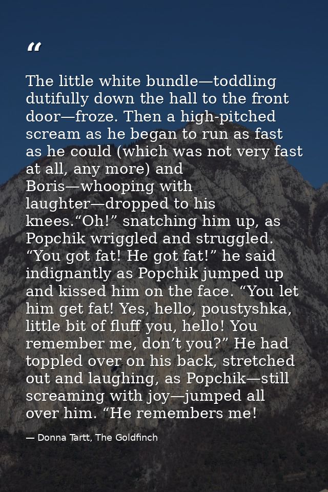 The little white bundle—toddling dutifully down the hall to the front door—froze. Then a high-pitched scream as he began — Donna Tartt, The Goldfinch