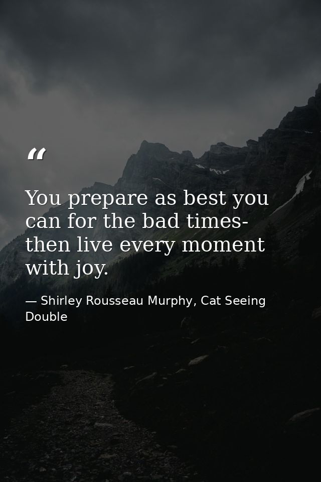 You prepare as best you can for the bad times- then live every moment with joy. — Shirley Rousseau Murphy, Cat Seeing Double