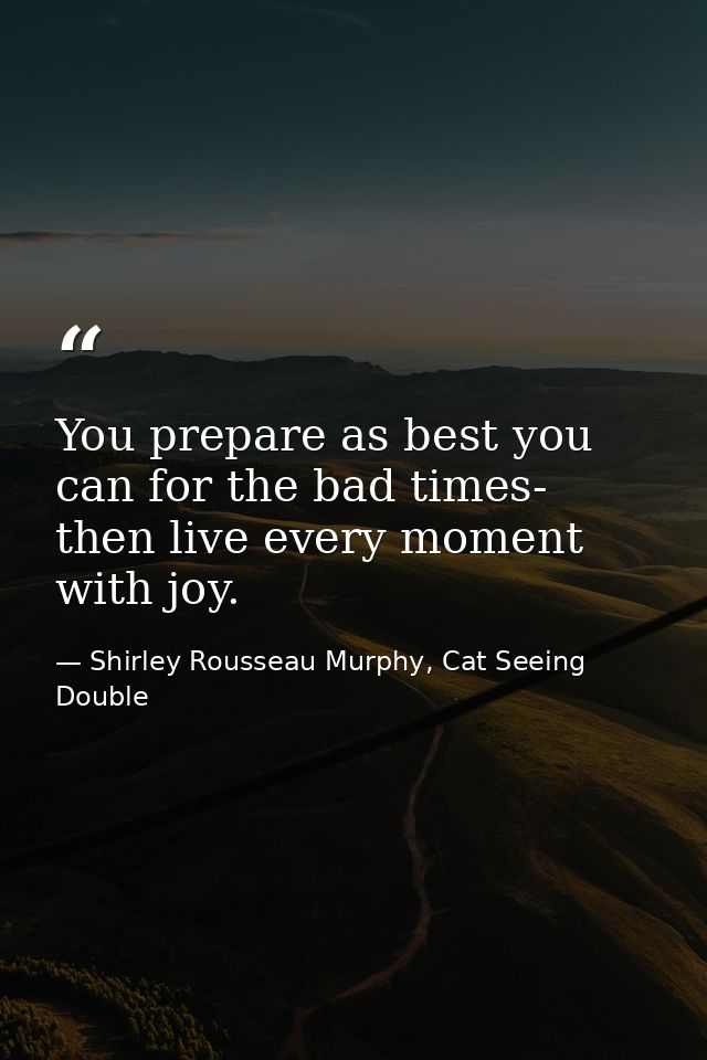 You prepare as best you can for the bad times- then live every moment with joy. — Shirley Rousseau Murphy, Cat Seeing Double