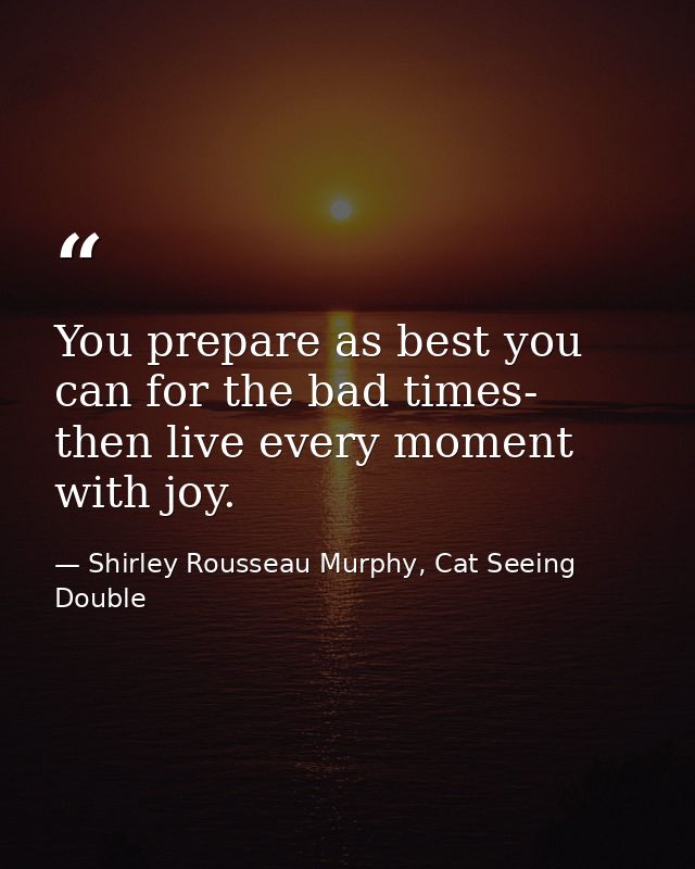 You prepare as best you can for the bad times- then live every moment with joy. — Shirley Rousseau Murphy, Cat Seeing Double