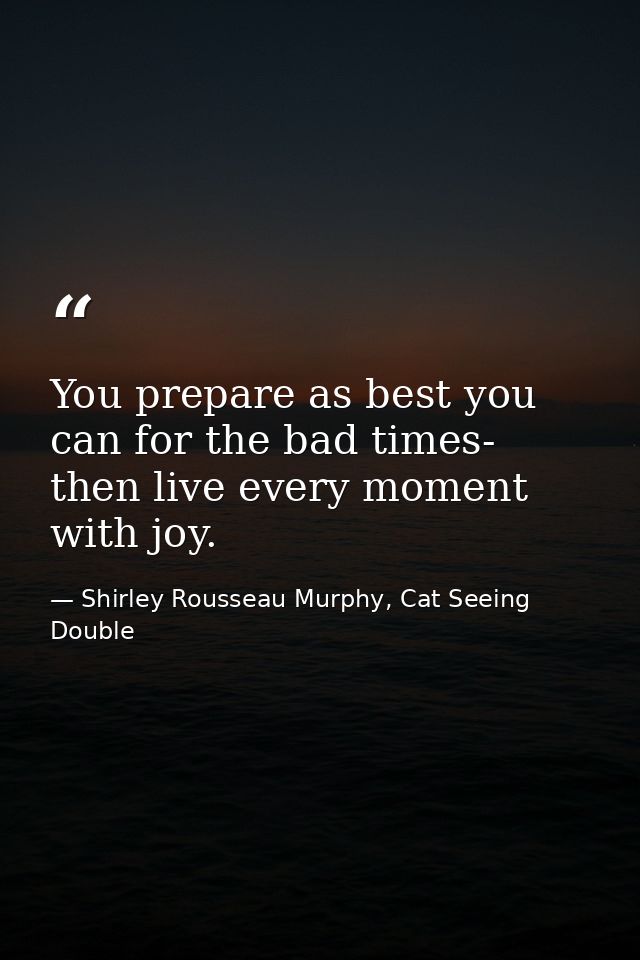 You prepare as best you can for the bad times- then live every moment with joy. — Shirley Rousseau Murphy, Cat Seeing Double