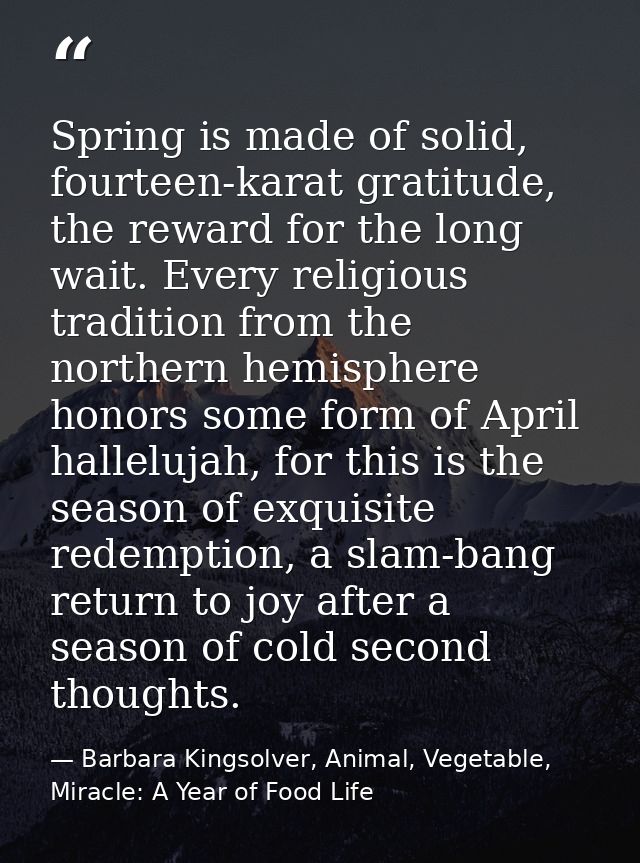 Spring is made of solid, fourteen-karat gratitude, the reward for the long wait. Every religious tradition from the nort — Barbara Kingsolver, Animal, Vegetable, Miracle: A Year of Food Life