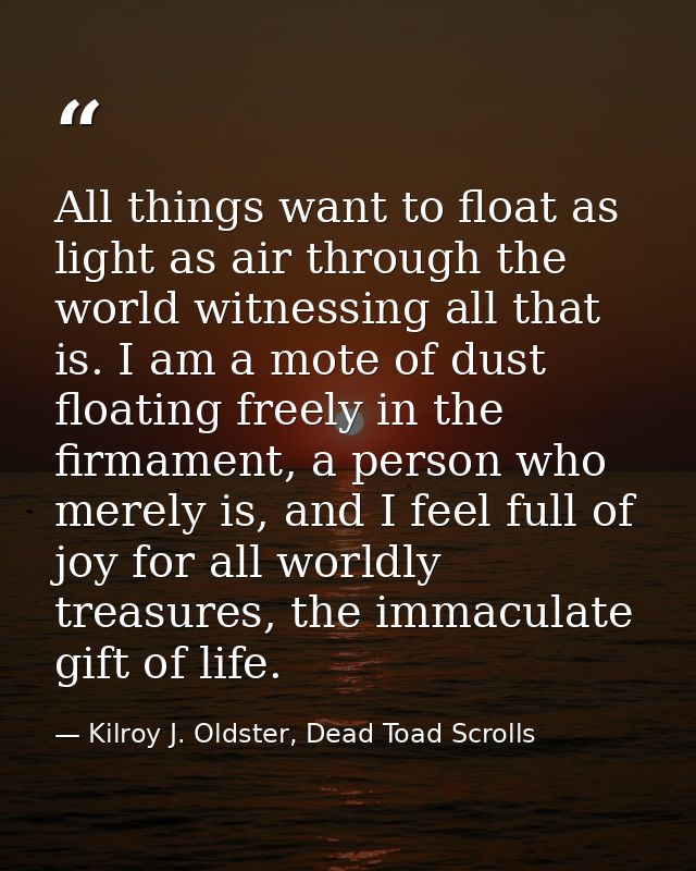 All things want to float as light as air through the world witnessing all that is. I am a mote of dust floating freely i — Kilroy J. Oldster, Dead Toad Scrolls