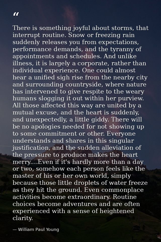 There is something joyful about storms, that interrupt routine. Snow or freezing rain suddenly releases you from expecta — William Paul Young