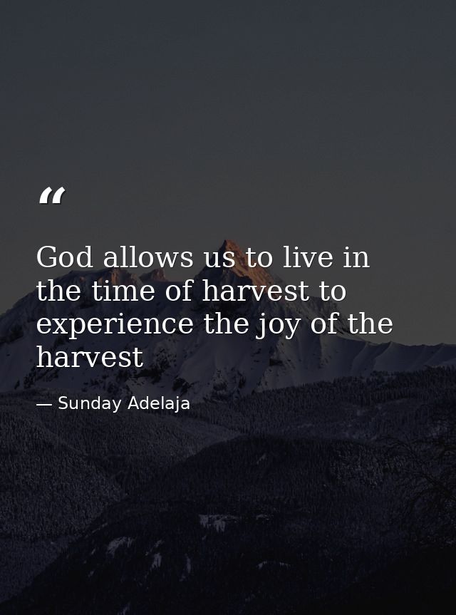 God allows us to live in the time of harvest to experience the joy of the harvest — Sunday Adelaja