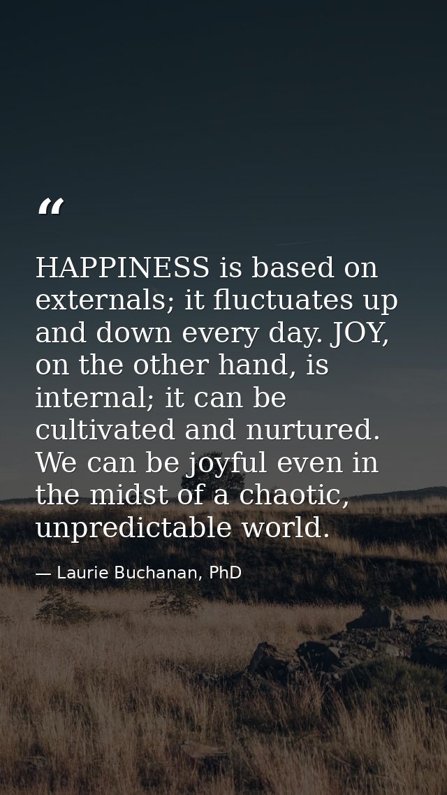 HAPPINESS is based on externals; it fluctuates up and down every day. JOY, on the other hand, is internal; it can be cul — Laurie Buchanan, PhD