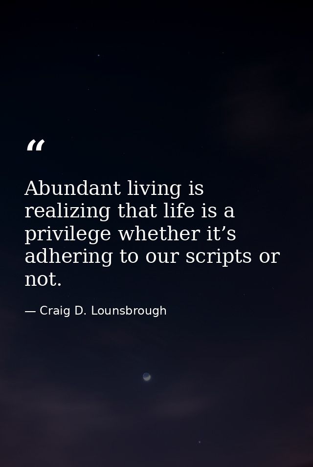 Abundant living is realizing that life is a privilege whether it’s adhering to our scripts or not. — Craig D. Lounsbrough