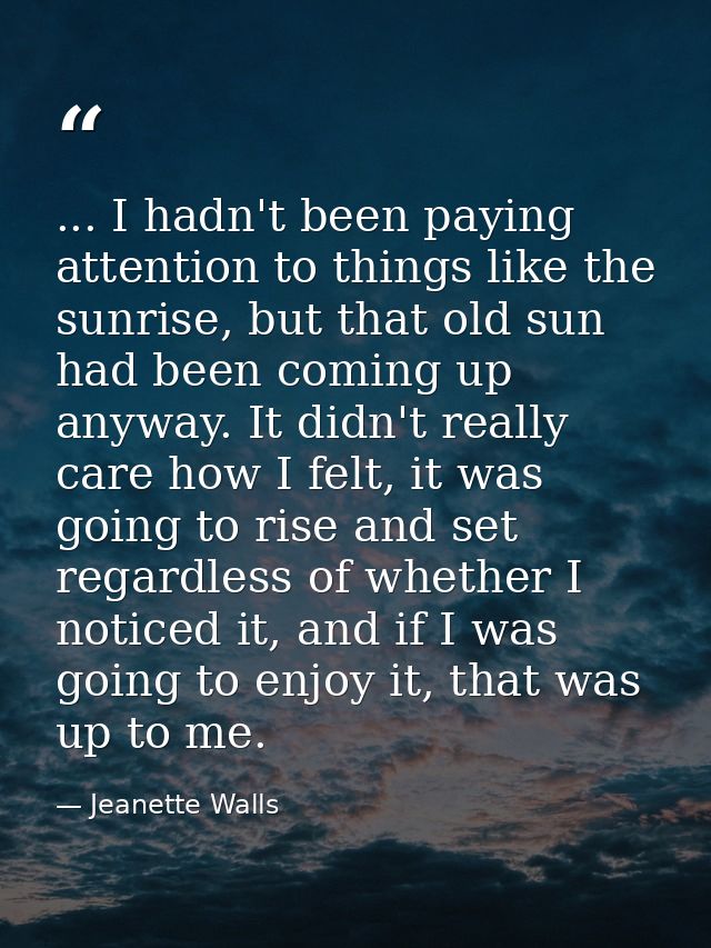 ... I hadn't been paying attention to things like the sunrise, but that old sun had been coming up anyway. It didn't rea — Jeanette Walls