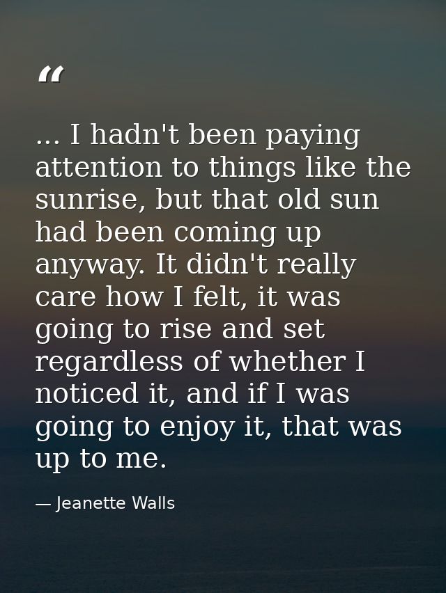 ... I hadn't been paying attention to things like the sunrise, but that old sun had been coming up anyway. It didn't rea — Jeanette Walls
