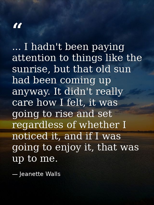 ... I hadn't been paying attention to things like the sunrise, but that old sun had been coming up anyway. It didn't rea — Jeanette Walls