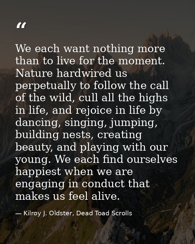 We each want nothing more than to live for the moment. Nature hardwired us perpetually to follow the call of the wild, c — Kilroy J. Oldster, Dead Toad Scrolls