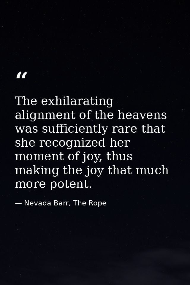 The exhilarating alignment of the heavens was sufficiently rare that she recognized her moment of joy, thus making the j — Nevada Barr, The Rope