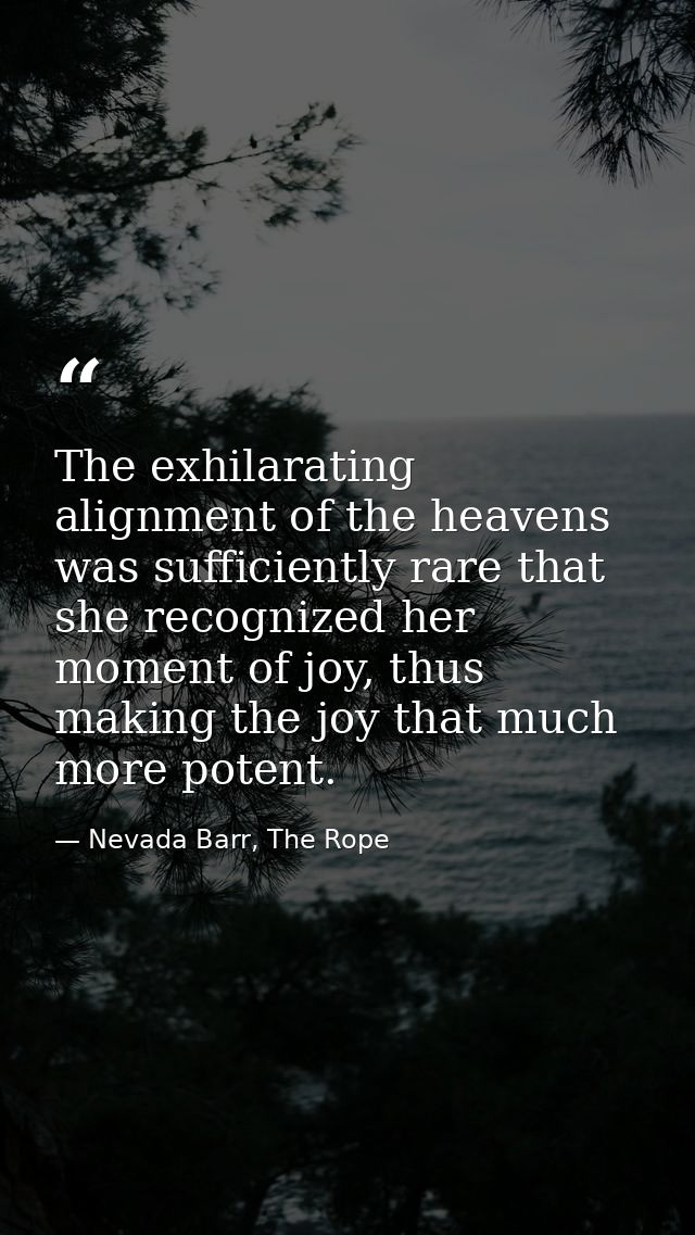 The exhilarating alignment of the heavens was sufficiently rare that she recognized her moment of joy, thus making the j — Nevada Barr, The Rope