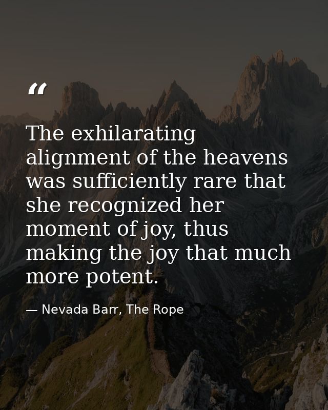 The exhilarating alignment of the heavens was sufficiently rare that she recognized her moment of joy, thus making the j — Nevada Barr, The Rope
