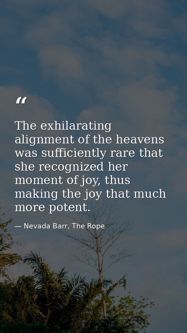 The exhilarating alignment of the heavens was sufficiently rare that she recognized her moment of joy, thus making the j — Nevada Barr, The Rope