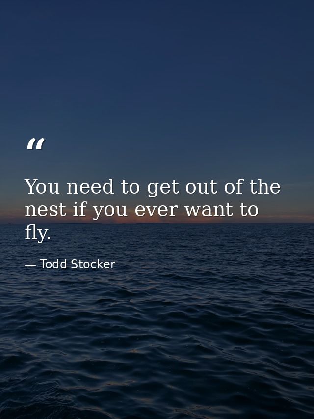 You need to get out of the nest if you ever want to fly. — Todd Stocker