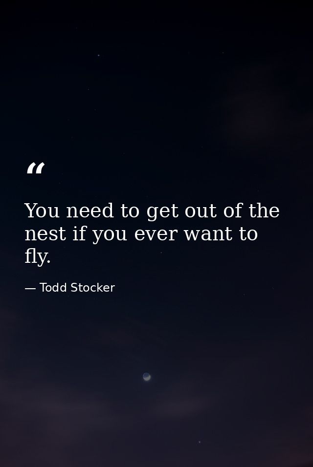 You need to get out of the nest if you ever want to fly. — Todd Stocker